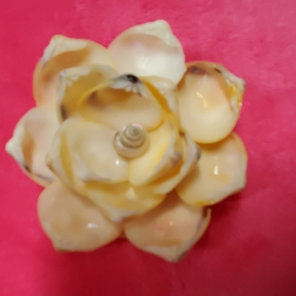Handcrafted Cut Seashell Sailor's Valentine Pin Flower Petal Brooch - Picture 2 of 5